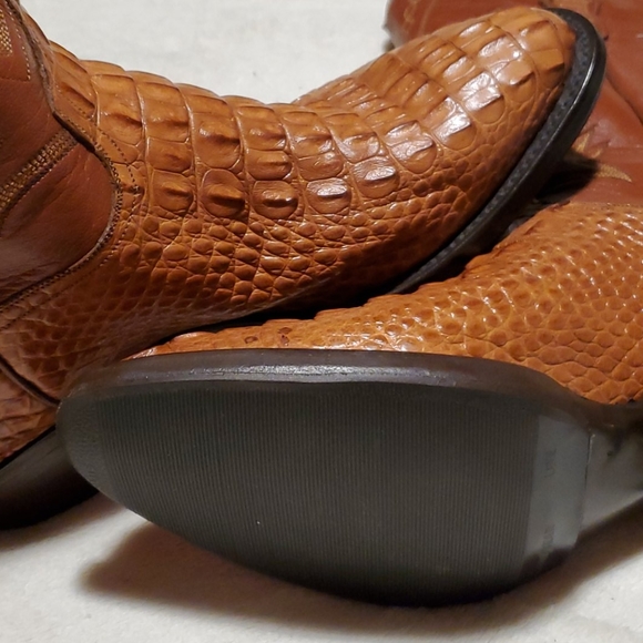 NWT LA Gator American Hornback main image 5